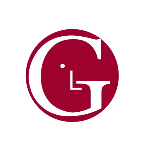 LG Egypt Logo